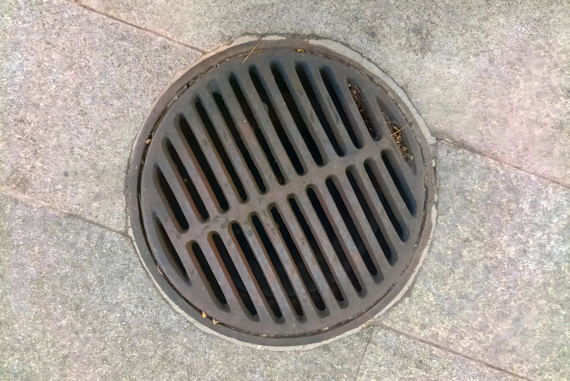 Sewer Scoping
